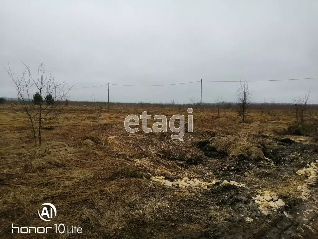 Участок в Калужская область, Дзержинский муниципальный округ, Рудня ... - Фото 2