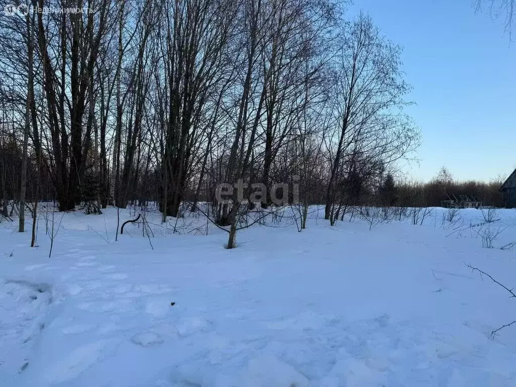 Участок в Дмитровский городской округ, деревня Маринино (13.4 м) - Фото 0