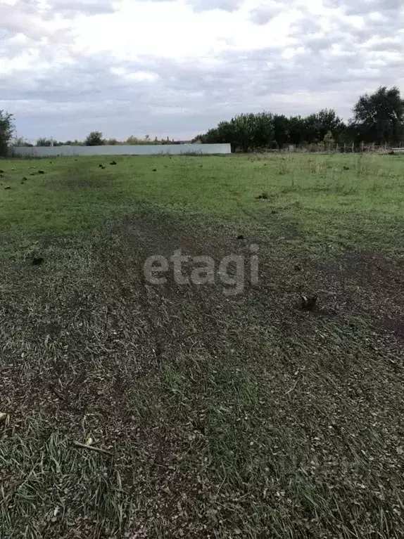 Участок в Ростовская область, Родионово-Несветайский район, Волошино ... - Фото 0