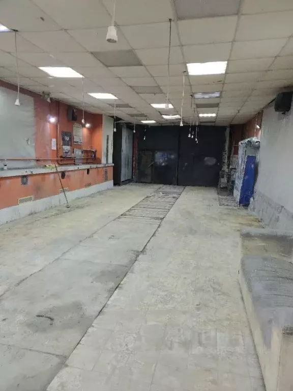 Помещение свободного назначения в Санкт-Петербург Камчатская ул., 19В ... - Фото 2