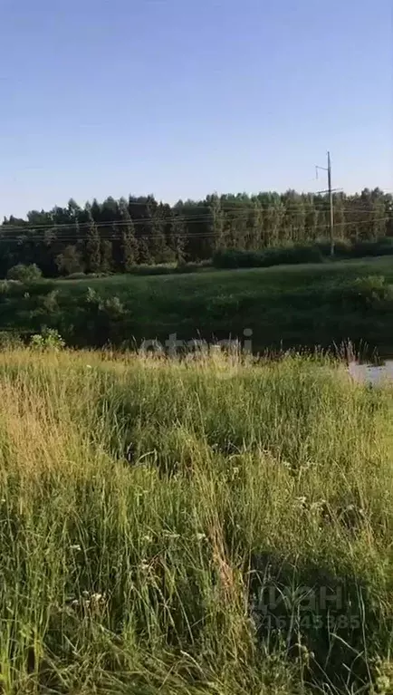 Участок в Ярославская область, Ярославский муниципальный округ, ... - Фото 0