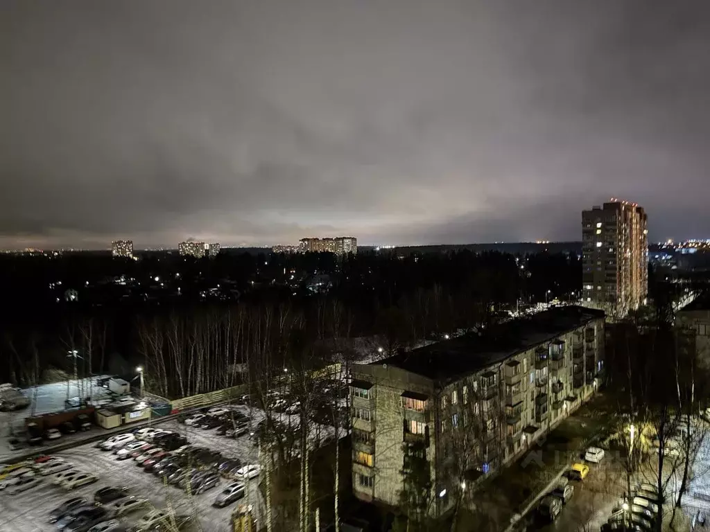 3-к кв. Московская область, Химки Подрезково мкр, ул. 1-я Лесная, 10к2 ... - Фото 2