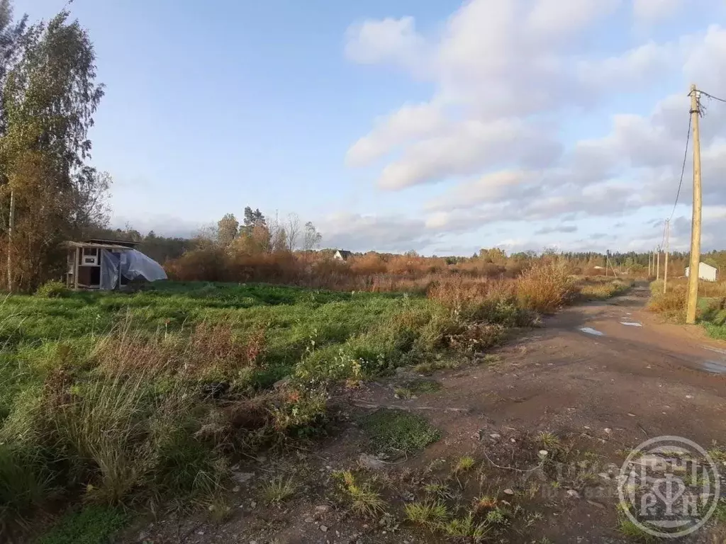 Участок в Ленинградская область, Приозерский район, Ларионовское ... - Фото 1