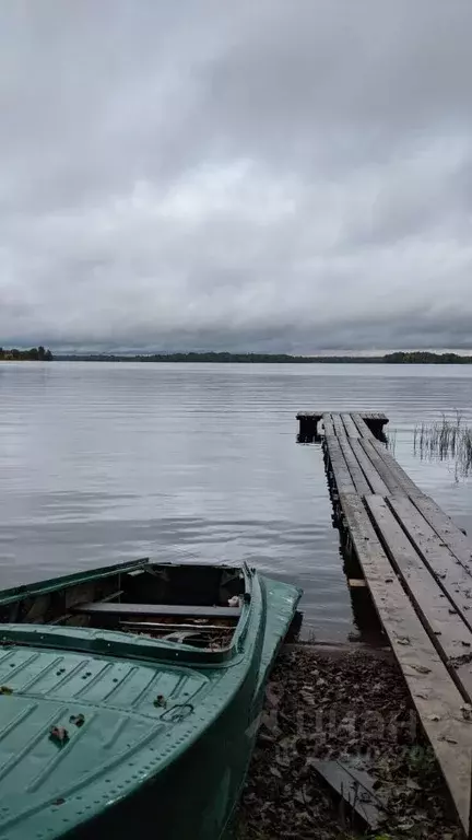 Дом в Новгородская область, Демянский муниципальный округ, д. ... - Фото 1