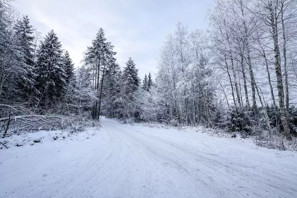 Участок в Московская область, Солнечногорск городской округ, д. Покров ... - Фото 1