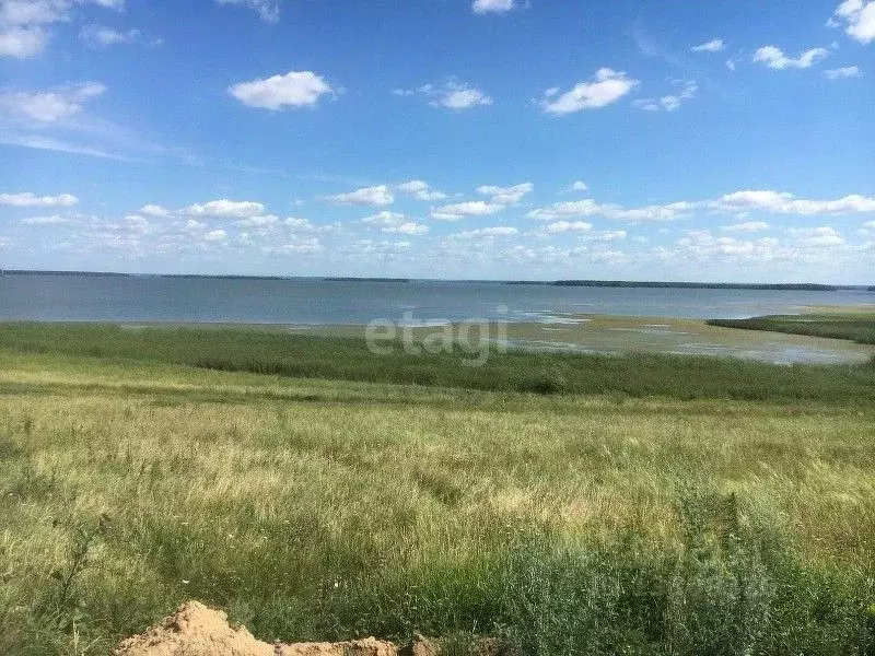 Участок в Новосибирская область, Ордынский район, Пичугово море кп ул. ... - Фото 0