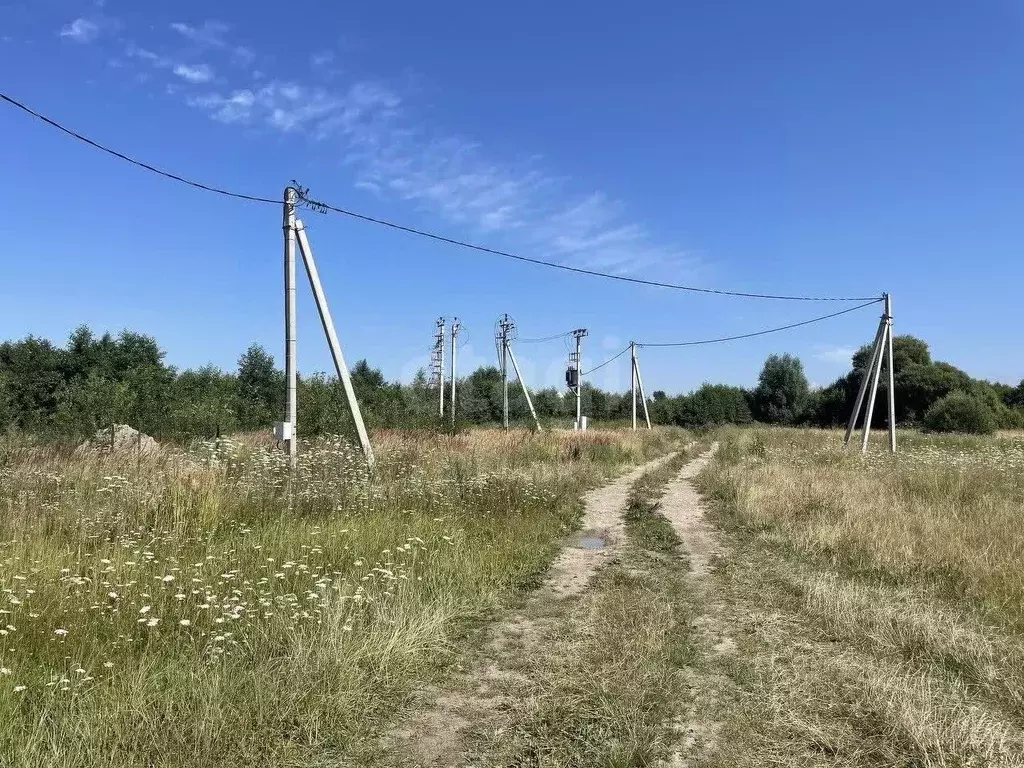 Участок в Калининградская область, Зеленоградский муниципальный округ, ... - Фото 1
