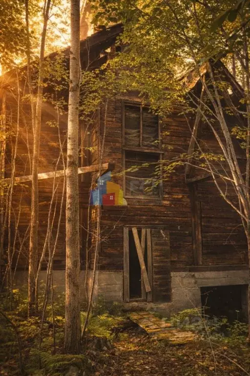 Участок в Иркутская область, Слюдянский район, пос. Утулик Кедровый ... - Фото 1