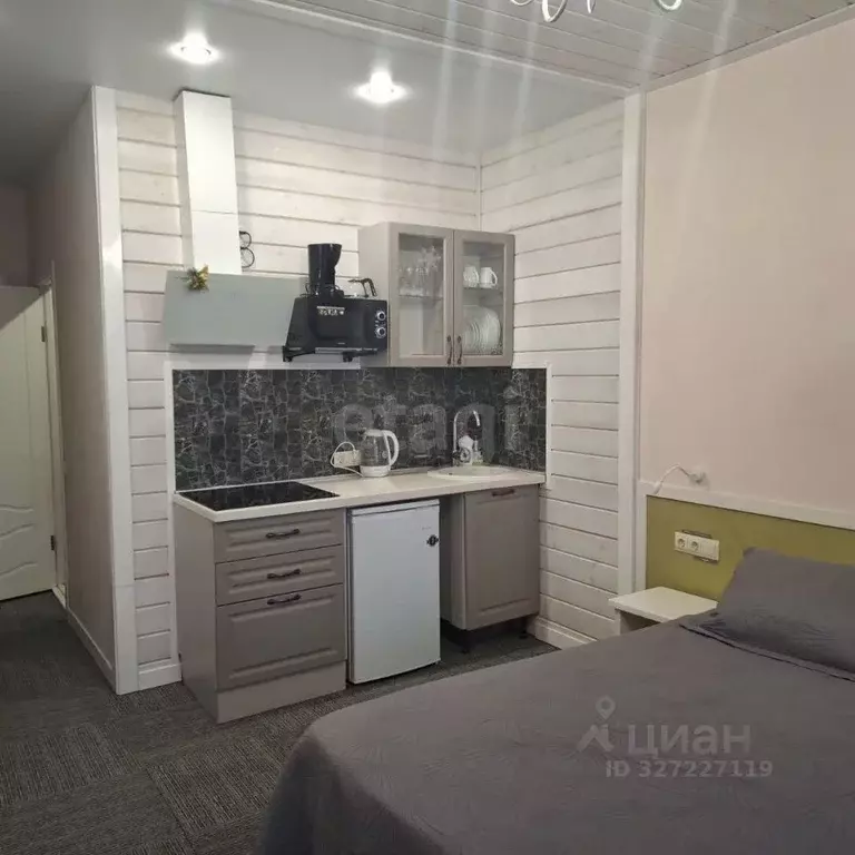 Студия Челябинская область, Миасский городской округ, с. Сыростан ул. ... - Фото 2