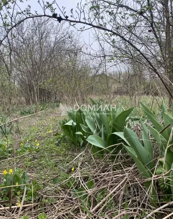 Участок в Ростовская область, Аксайский район, Грушевская ст-ца пер. ... - Фото 1