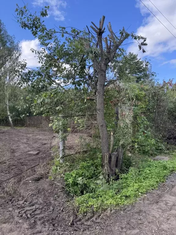 Участок в Московская область, Богородский городской округ, ТЭЦ-12 СНТ ... - Фото 0