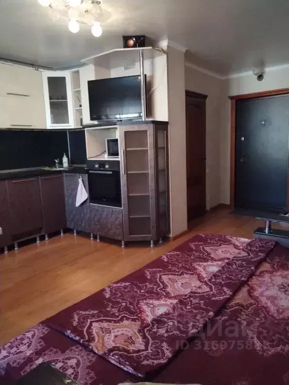 Студия Челябинская область, Магнитогорск ул. Зеленый Лог, 25 (30.0 м) - Фото 0