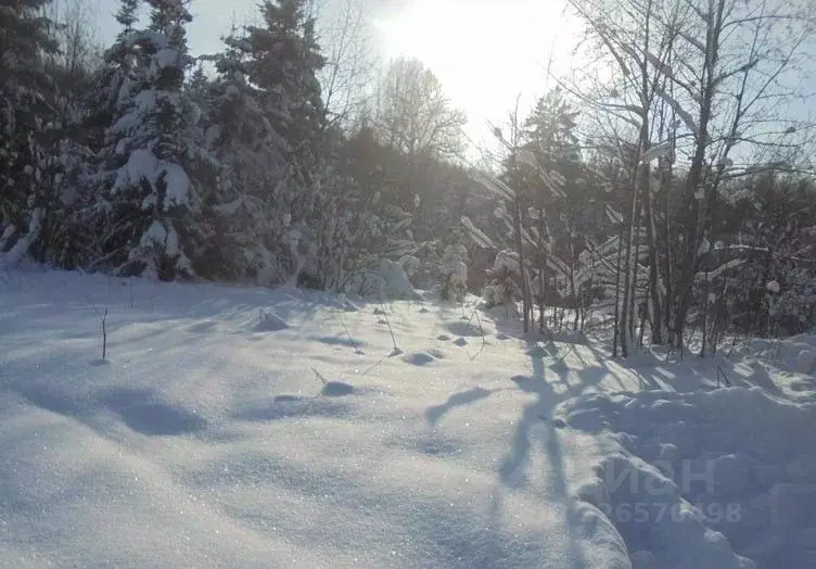 Участок в Московская область, Дмитровский муниципальный округ, д. ... - Фото 0
