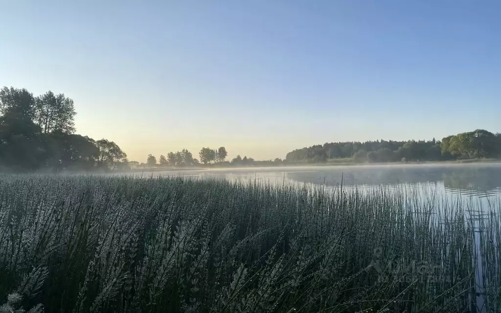 участок в московская область, наро-фоминский городской округ, д. . - Фото 1