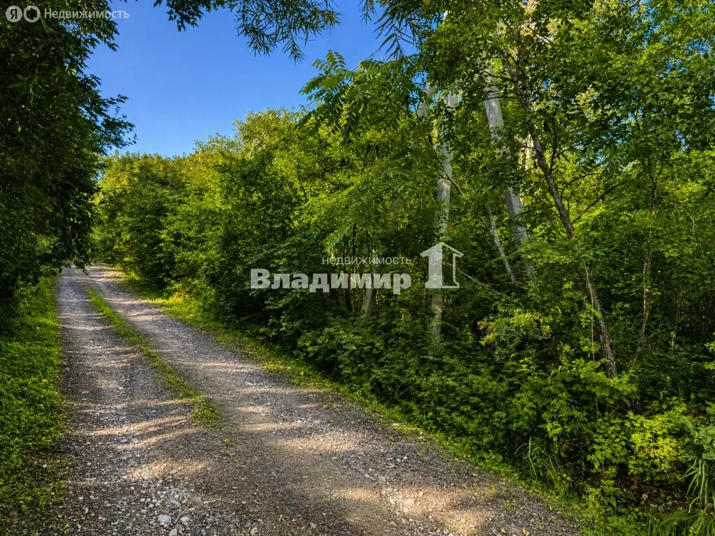 Участок в Приморский край, Анучинский муниципальный округ, ... - Фото 2