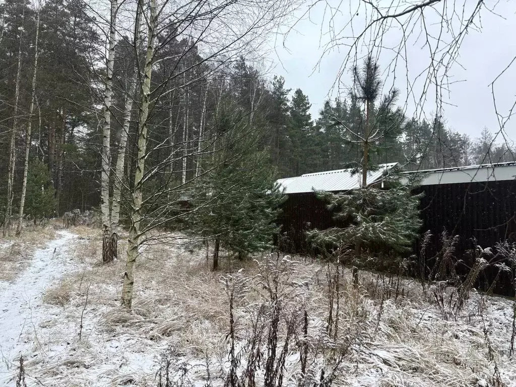 Участок в Московская область, Воскресенск городской округ, Хорлово пгт ... - Фото 0
