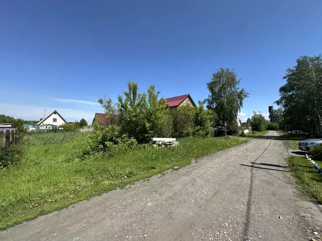 Участок в Алтайский край, Барнаул городской округ, с. Лебяжье ул. Им. ... - Фото 1