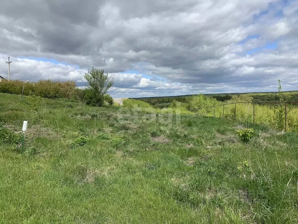 Участок в Саратовская область, Балашовский район, Хоперское ... - Фото 1