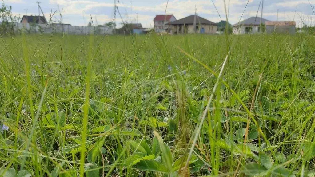Участок в Белгородская область, Старооскольский городской округ, с. ... - Фото 0