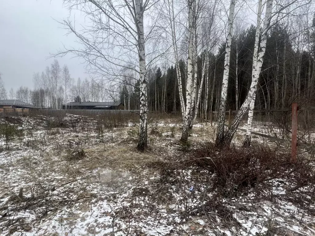 Участок в Московская область, Одинцовский городской округ, Супонево-1 ... - Фото 0