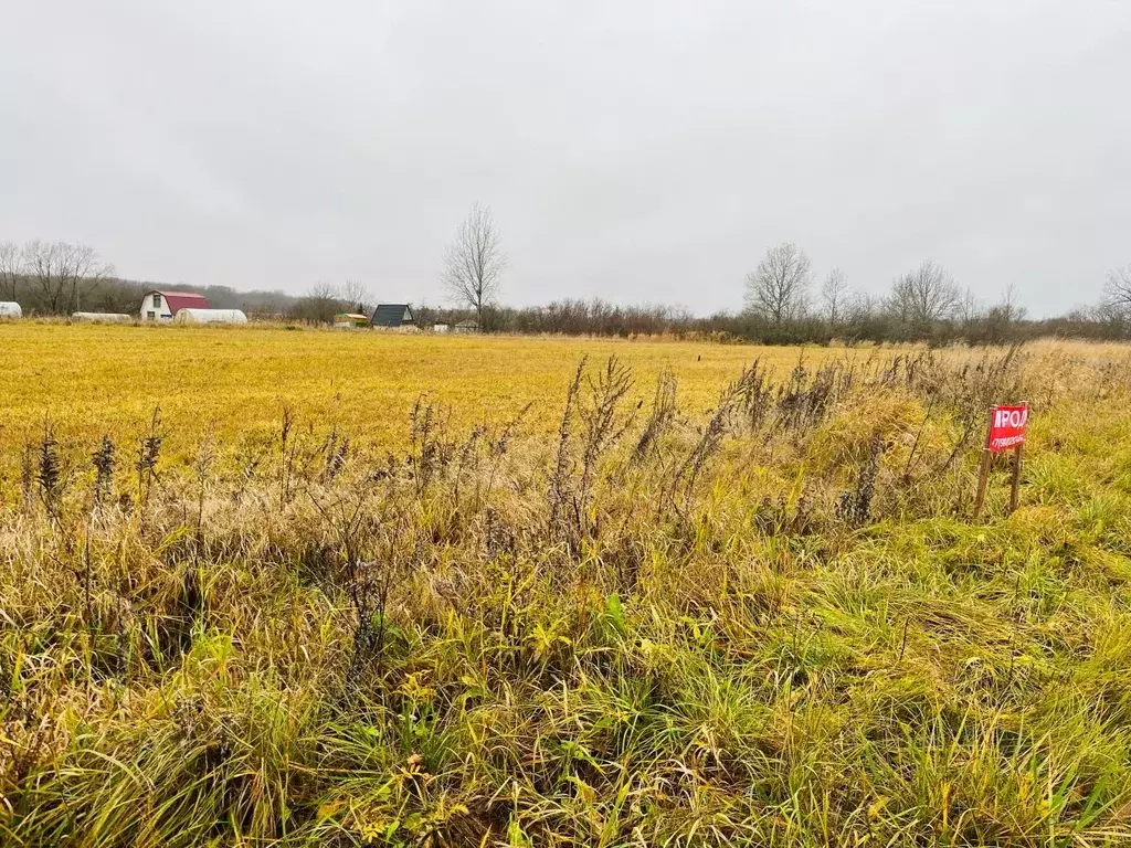 Участок в Новгородская область, Новгородский район, Борковское с/пос, ... - Фото 1