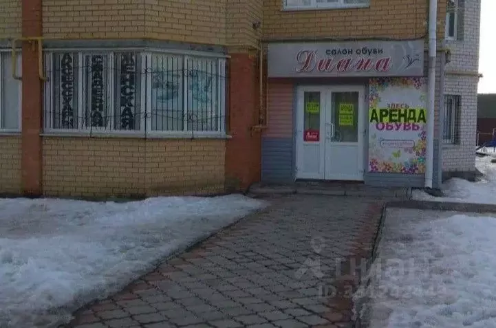 Торговая площадь в Чувашия, Канаш ул. 30 лет Победы, 10 (88 м) - Фото 1
