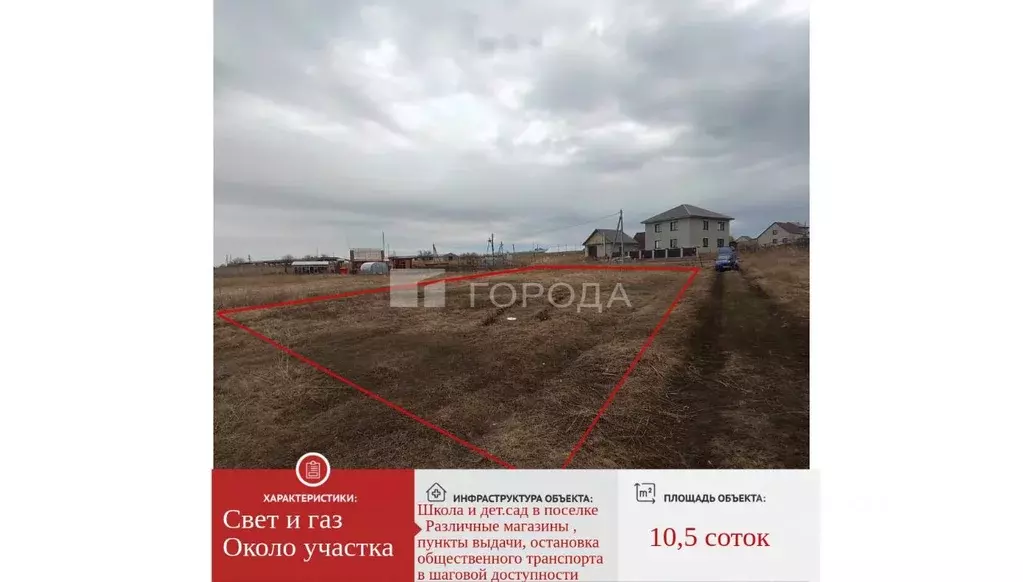 Участок в Алтайский край, Павловский район, с. Шахи ул. Вишневая (10.5 ... - Фото 1