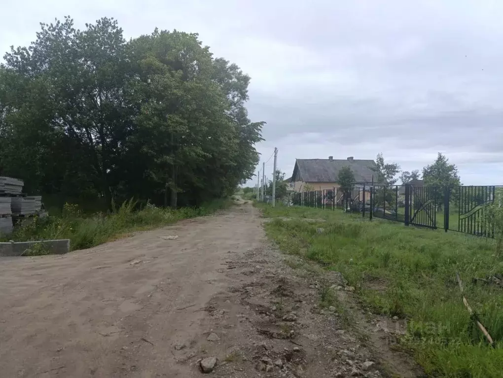 Участок в Калининградская область, Гурьевский муниципальный округ, ТСН ... - Фото 1