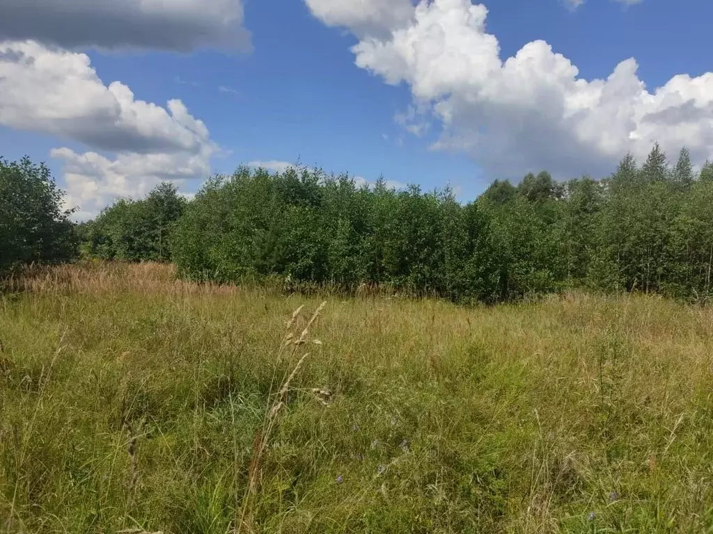 Участок в Московская область, Орехово-Зуевский городской округ, с. ... - Фото 2