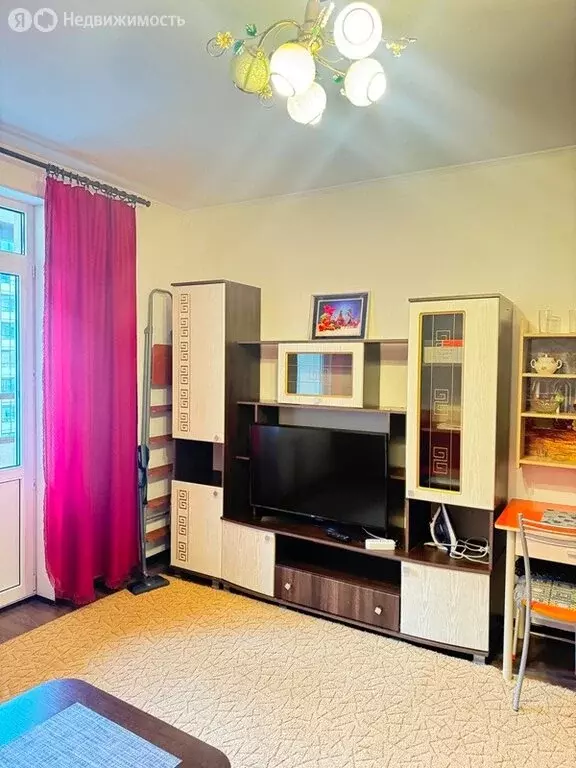 Квартира-студия: Санкт-Петербург, проспект Ветеранов, 171к5 (24 м) - Фото 2