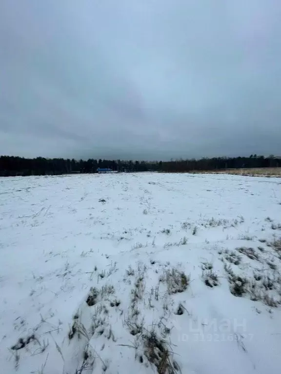Участок в Московская область, Ступино городской округ, с. Ивановское  ... - Фото 0