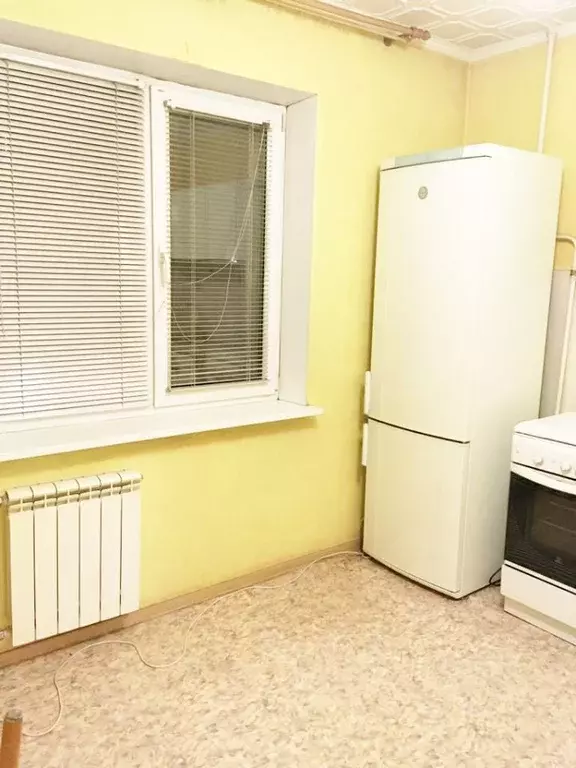 1-к кв. Омская область, Омск Учебная ул., 155 (37.1 м) - Фото 1