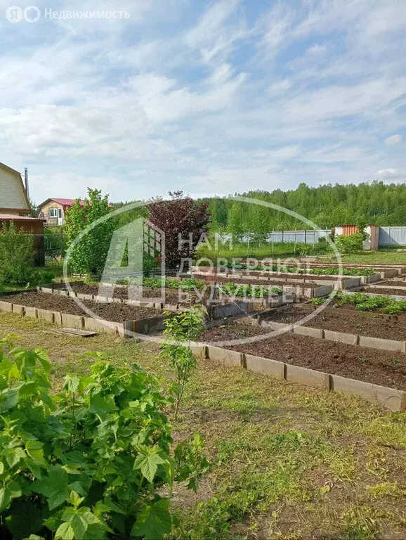 Участок в Добрянка, садовые участки Канал, Цветочная улица (7.81 м) - Фото 2