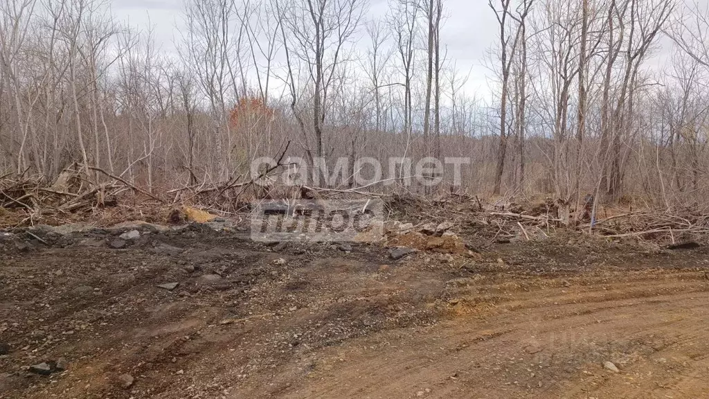 Участок в Приморский край, Артем  (11.0 сот.) - Фото 1
