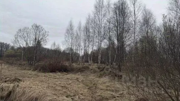 Участок в Московская область, Серпухов городской округ, д. Нефедово  ... - Фото 1