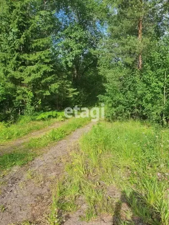 дом в ленинградская область, приозерский район, ларионовское с/пос, . - Фото 1