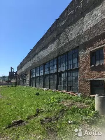 Помещение свободного назначения в Алтай, Майминский район, с. Майма ... - Фото 1