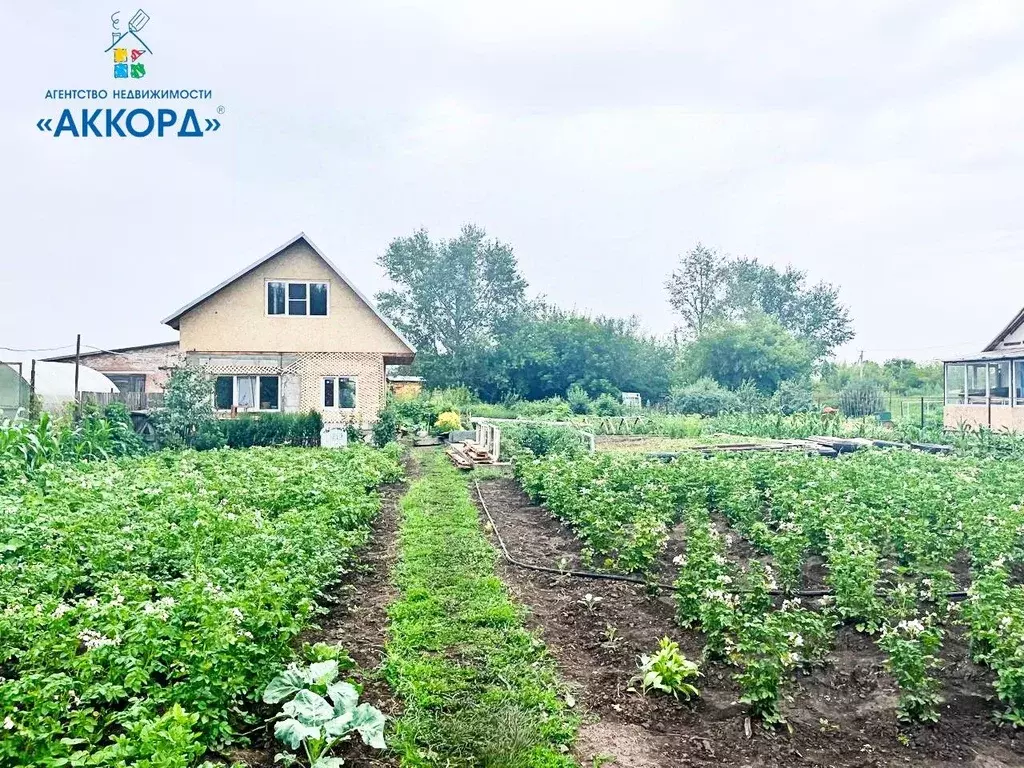 Участок в Алтайский край, Барнаул городской округ, пос. Центральный ... - Фото 2