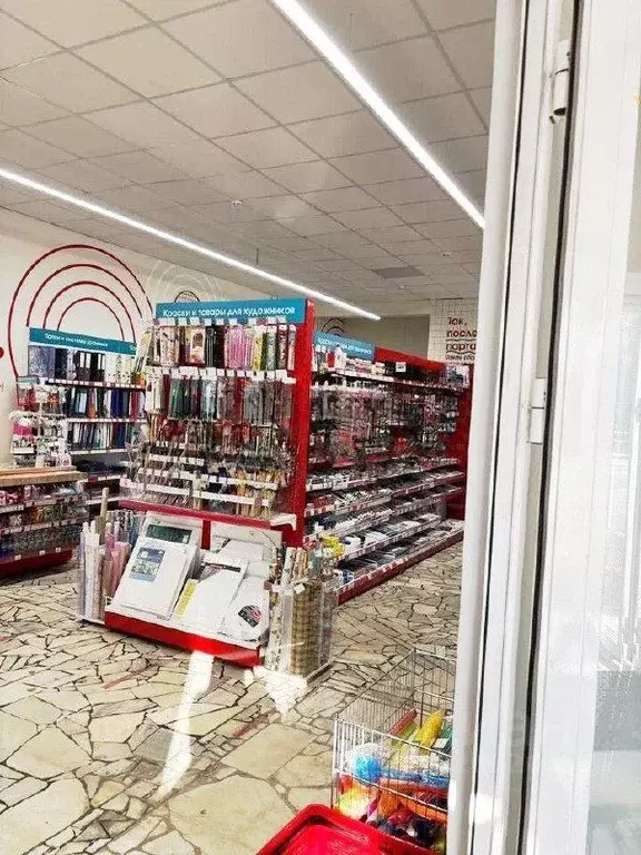 Помещение свободного назначения в Татарстан, Елабуга просп. Мира, 34 ... - Фото 2