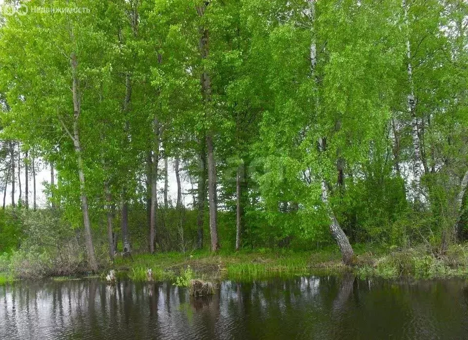 Участок в Нижегородская область, Сосновский муниципальный округ, село ... - Фото 2