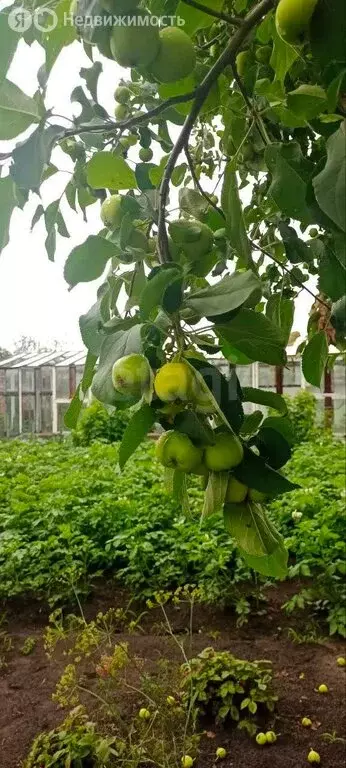 Дом в Тюмень, микрорайон Антипино, Каспийская улица (251 м) - Фото 2