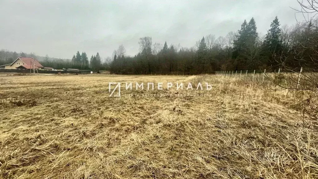 Участок в Калужская область, Жуковский район, Корсаково с/пос, ... - Фото 1