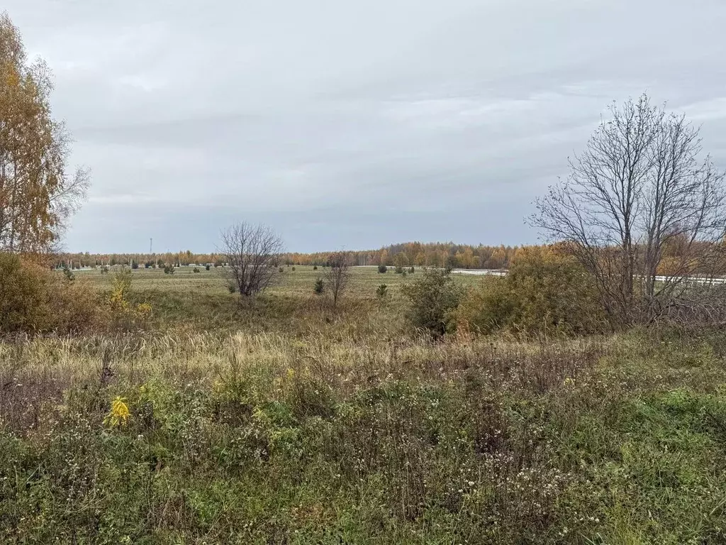 Участок в Ярославская область, Переславль-Залесский муниципальный ... - Фото 1