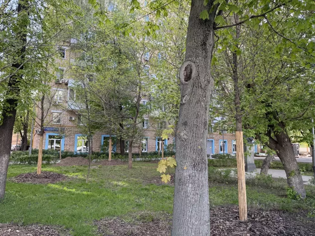 Студия Москва Космодамианская наб., 4/22кВ (15.7 м) - Фото 0
