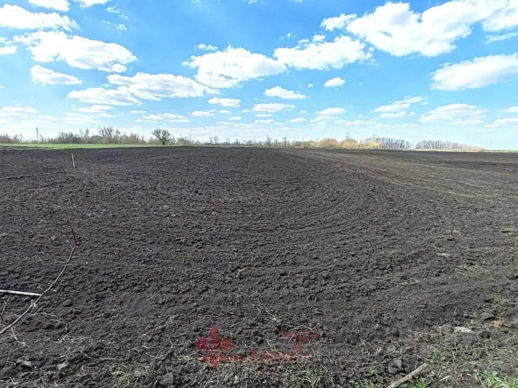 Участок в Белгородская область, Корочанский район, Яблоновское с/пос, ... - Фото 1