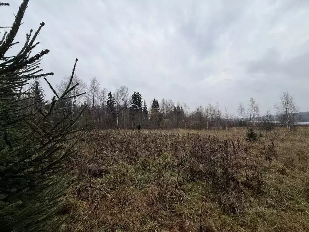 Участок в Московская область, Сергиево-Посадский городской округ, ПРП ... - Фото 2