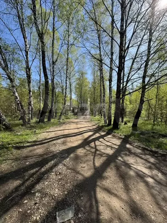 Участок 9 сот. (ИЖС) - Фото 1