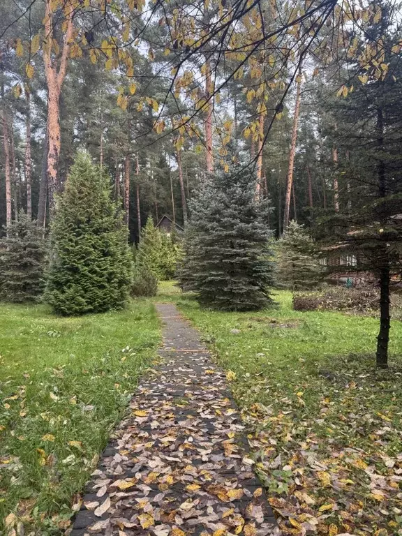 Дом в Московская область, Одинцовский городской округ, пос. Николина ... - Фото 2