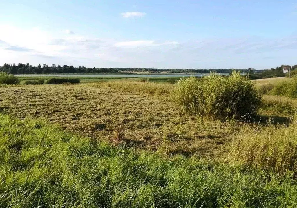 Участок в Новгородская область, Чудовский муниципальный округ, ... - Фото 2
