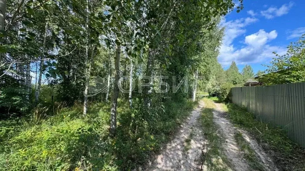 Участок в Тюменская область, Нижнетавдинский муниципальный округ, ... - Фото 2